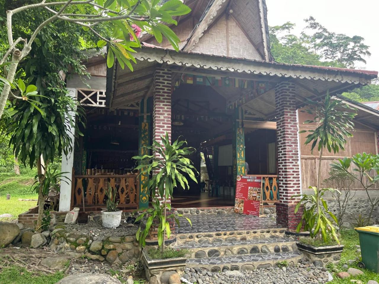 Pongo Guest House & Jungle Trekking Bukit Lawang Exterior photo