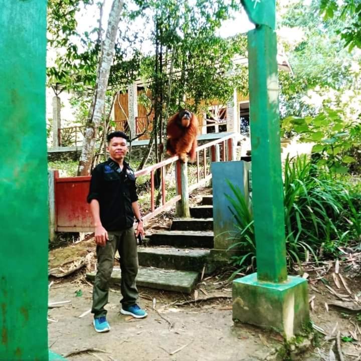 Pongo Guest House & Jungle Trekking Bukit Lawang Exterior photo