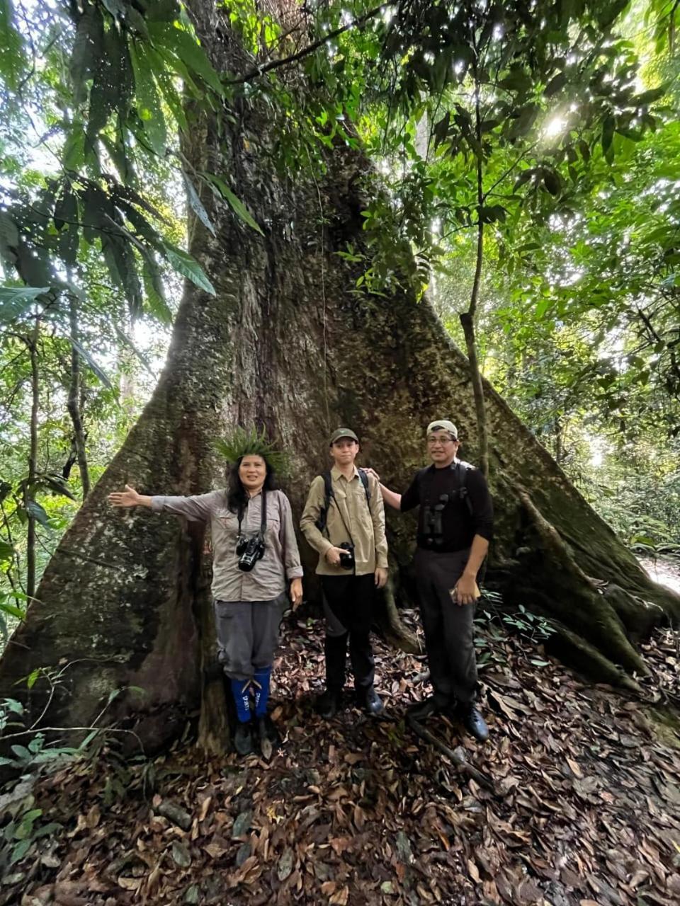 Pongo Guest House & Jungle Trekking Bukit Lawang Exterior photo