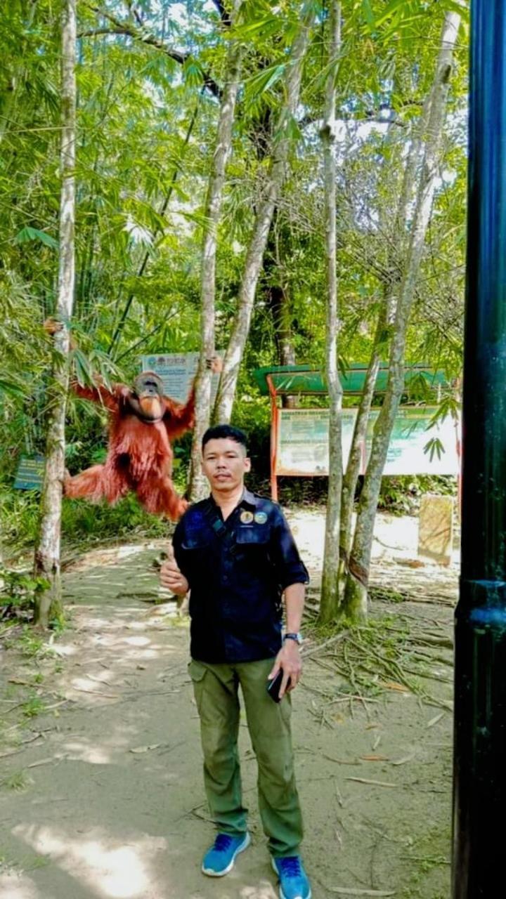 Pongo Guest House & Jungle Trekking Bukit Lawang Exterior photo