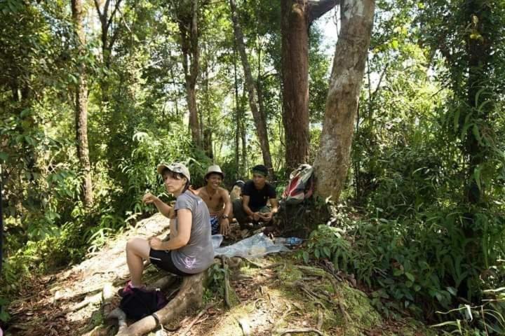 Pongo Guest House & Jungle Trekking Bukit Lawang Exterior photo
