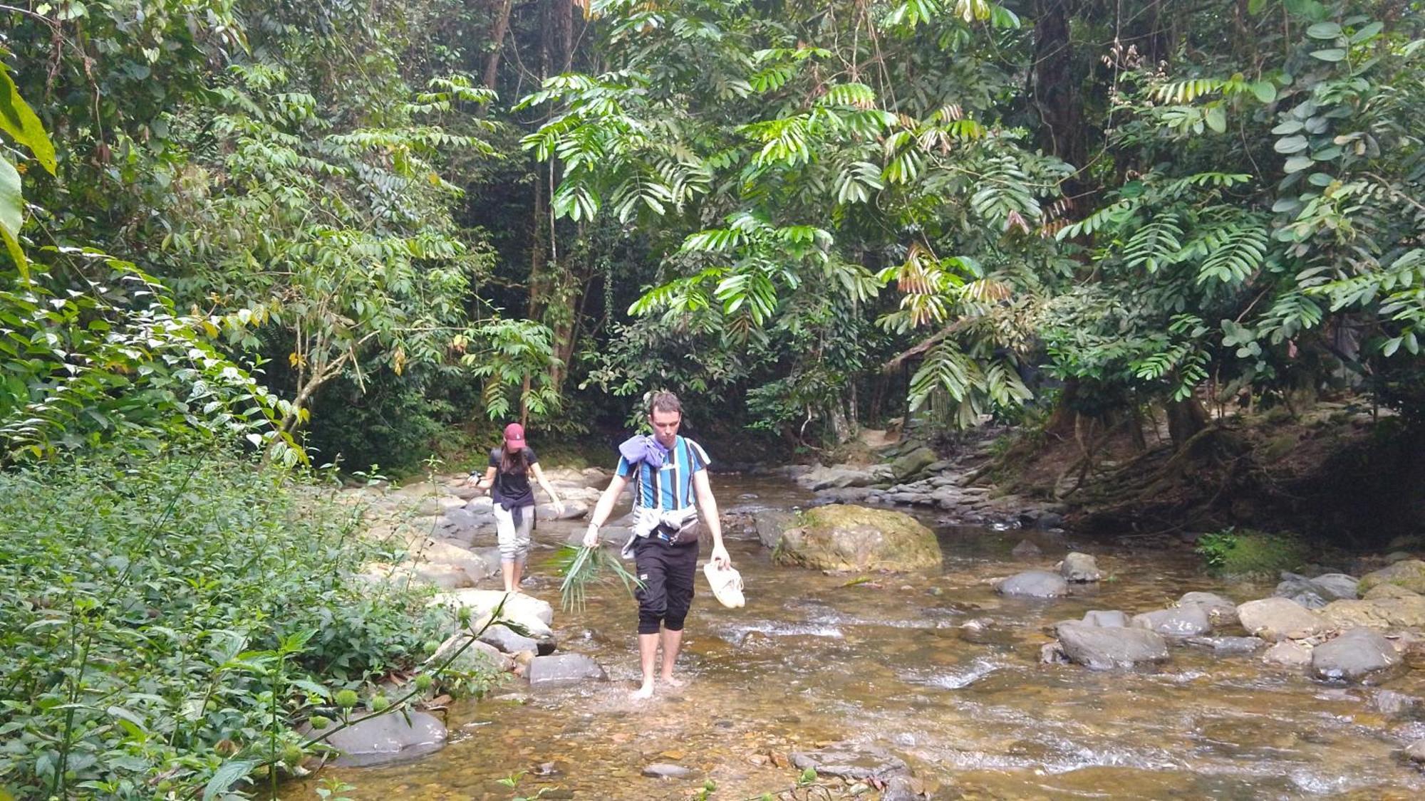 Pongo Guest House & Jungle Trekking Bukit Lawang Exterior photo